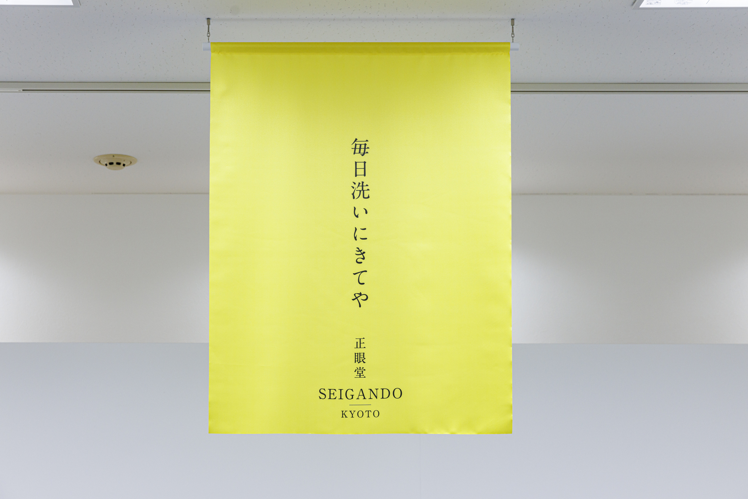 正眼堂｜店舗・ショールームデザイン｜メガネ店｜ラクセーヌ｜スーパーペンギン